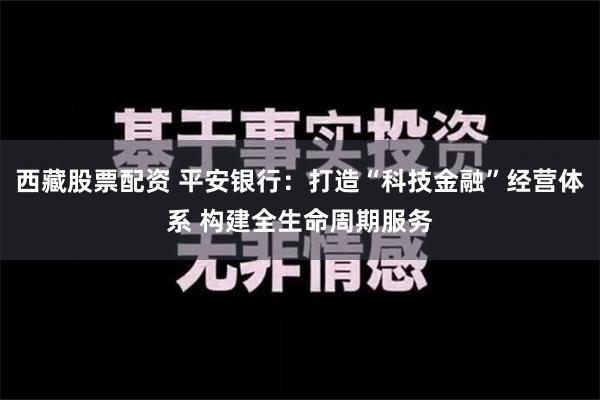 西藏股票配资 平安银行：打造“科技金融”经营体系 构建全生命周期服务