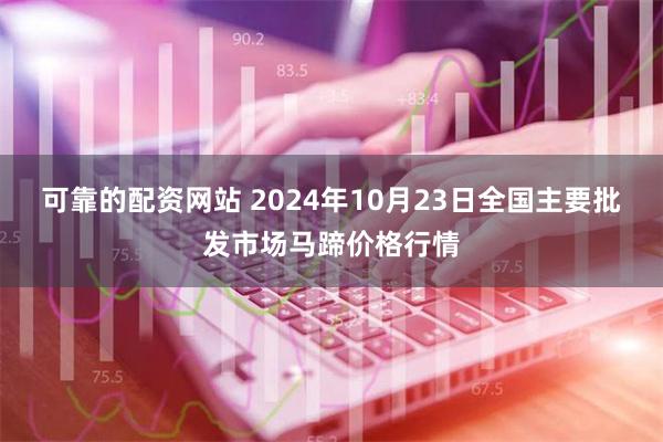 可靠的配资网站 2024年10月23日全国主要批发市场马蹄价格行情