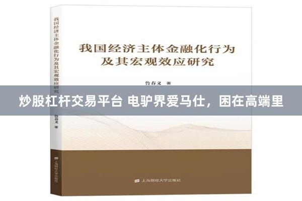 炒股杠杆交易平台 电驴界爱马仕，困在高端里