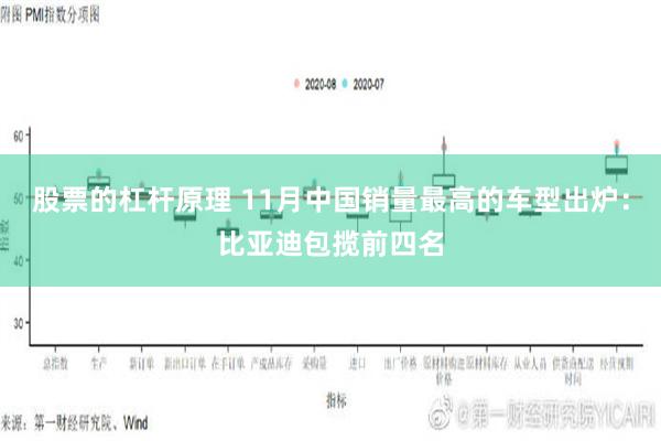 股票的杠杆原理 11月中国销量最高的车型出炉：比亚迪包揽前四名