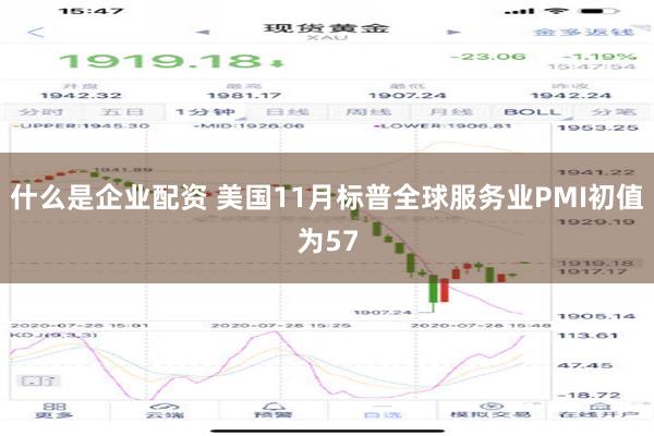 什么是企业配资 美国11月标普全球服务业PMI初值为57