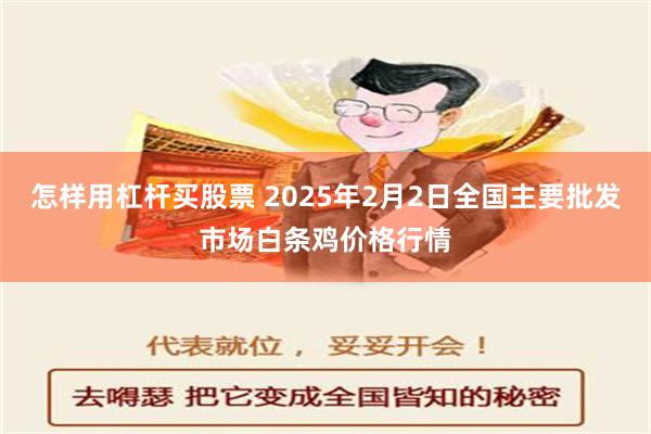 怎样用杠杆买股票 2025年2月2日全国主要批发市场白条鸡价格行情